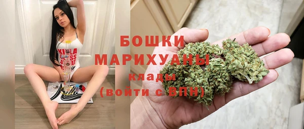 гашик Бородино