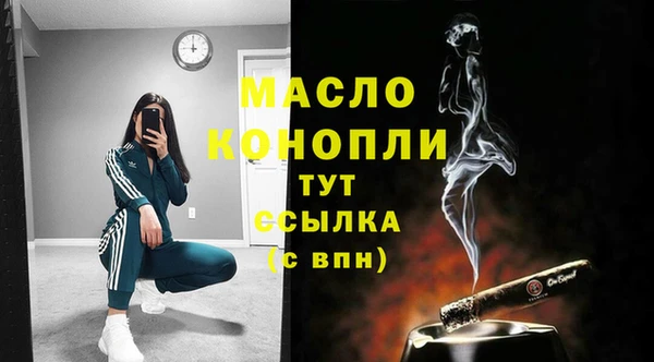 гашик Бородино