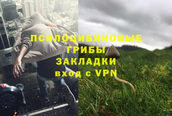 прущий лед Бронницы