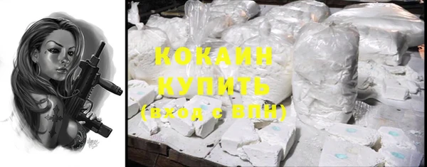 гашик Бородино