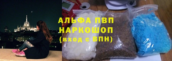 гашик Бородино
