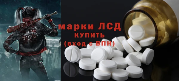 гашик Бородино