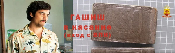 гашик Бородино