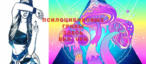 гашик Бородино