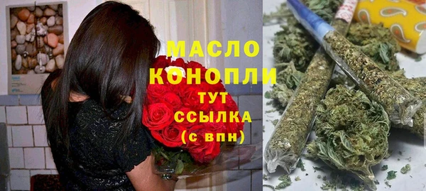 гашик Бородино