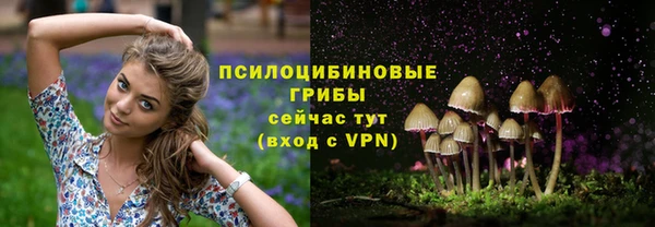 прущий лед Бронницы
