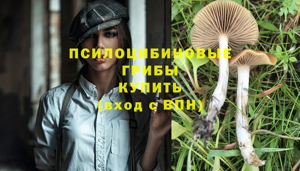 прущий лед Бронницы