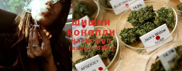 гашик Бородино