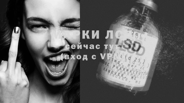 гашик Бородино