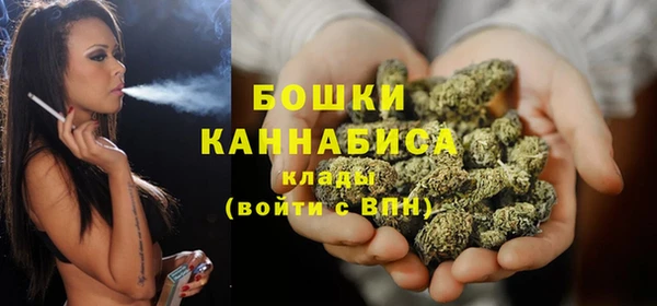 гашик Бородино