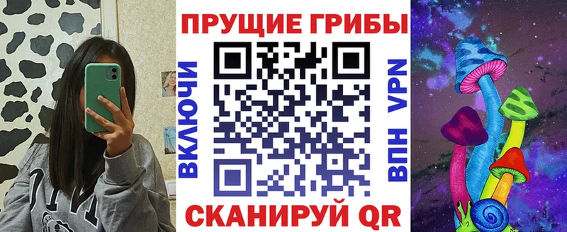 дарк нет официальный сайт  где можно купить   Кинешма  Галлюциногенные грибы мицелий 